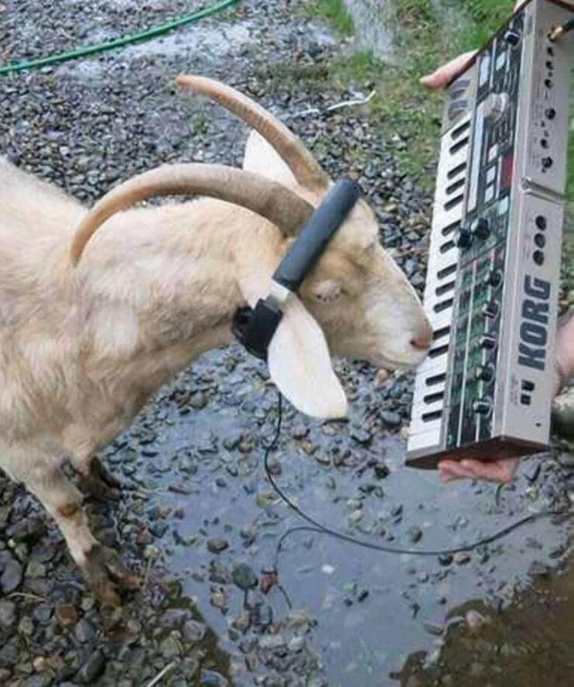 Смешные картинки на все случаи жизни