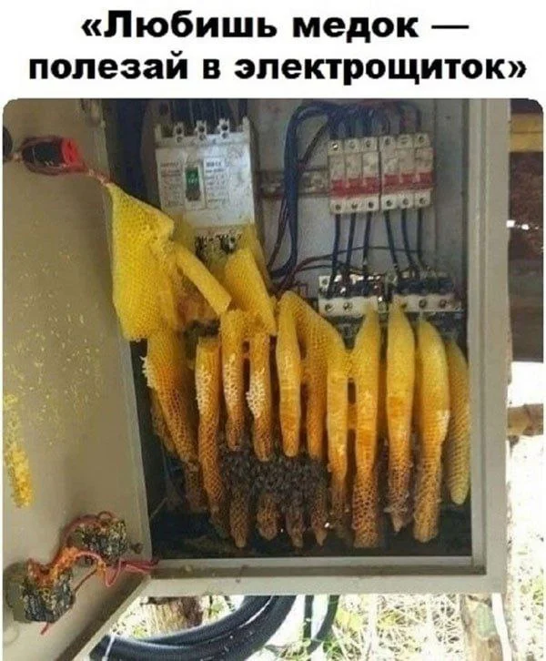 Пятничный заряд позитива: улыбаемся и машем!