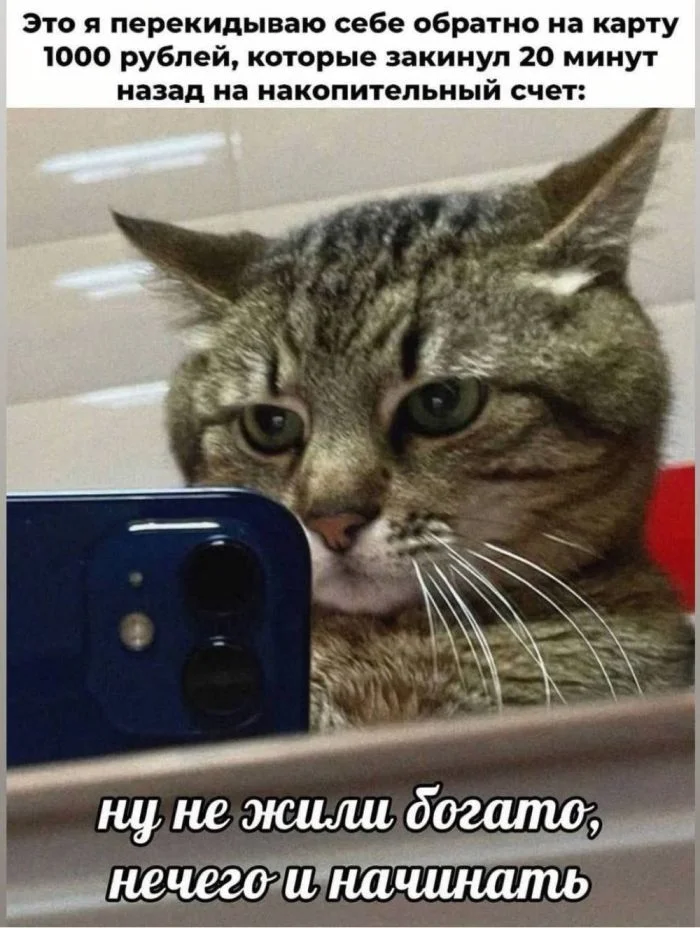 Пятничный заряд позитива: улыбаемся и машем!