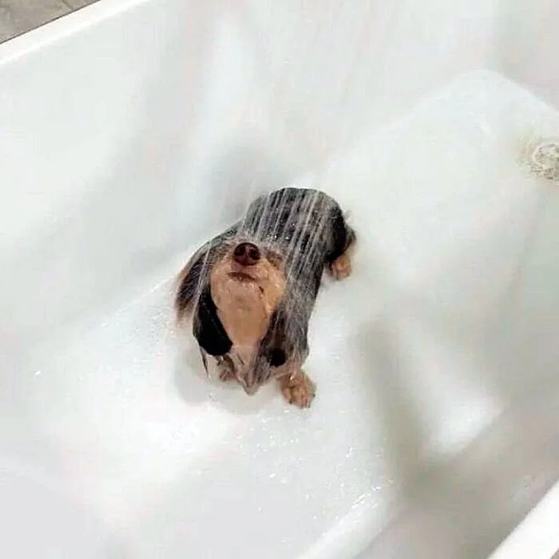 Очаровательные малыши: подборка самых милых фотографий детенышей животных