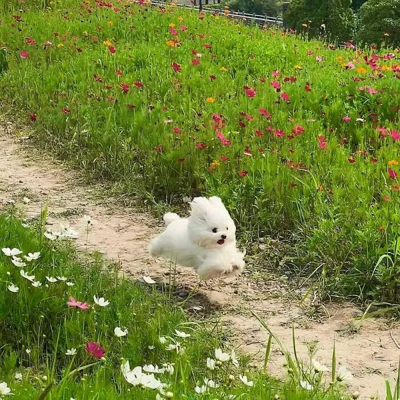 Очаровательные малыши: подборка самых милых фотографий детенышей животных
