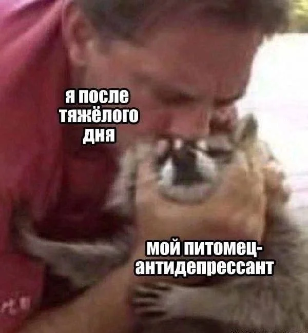 Юмор находит тебя первым: подборка для перезагрузки