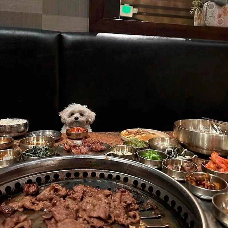 Очаровательные малыши: подборка самых милых фотографий детенышей животных