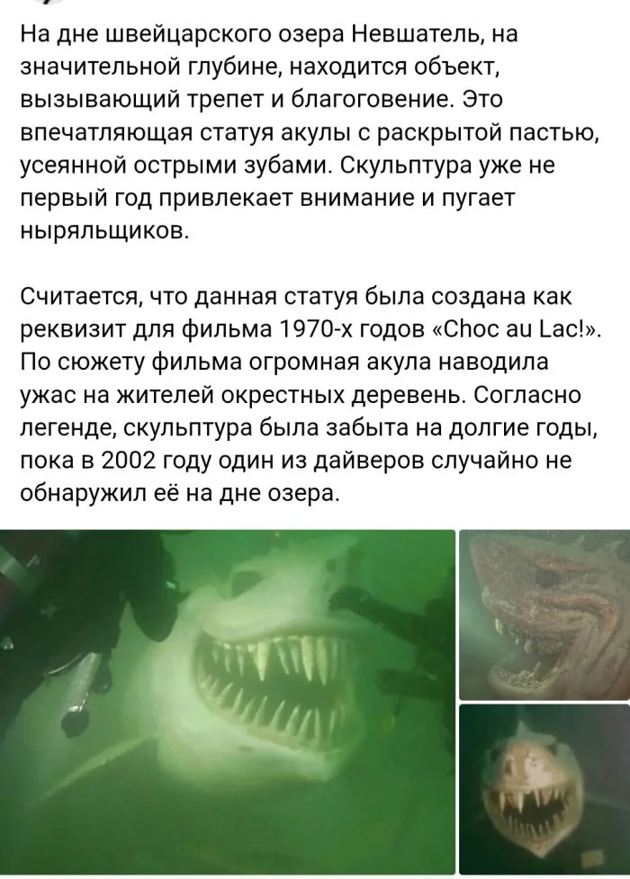 Пятничный заряд позитива: улыбаемся и машем!