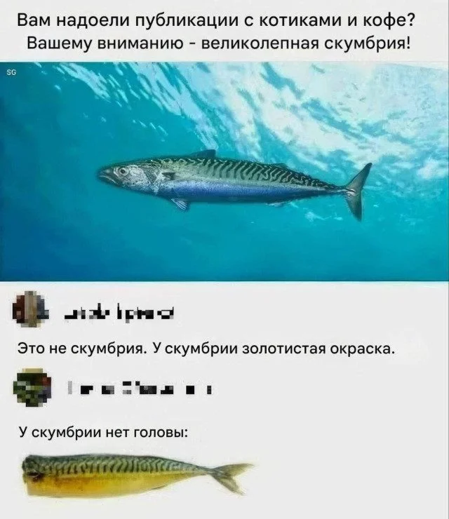 Случайный поток юмора: картинки, которые попали сюда просто так