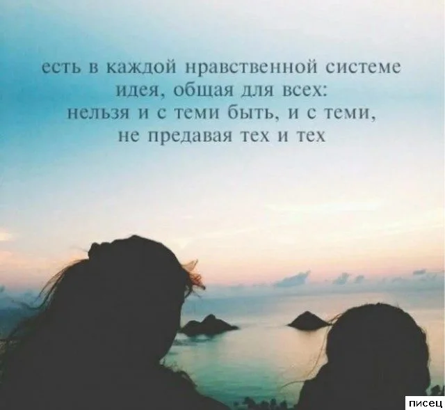 Цитаты, которые попали прямо в точку