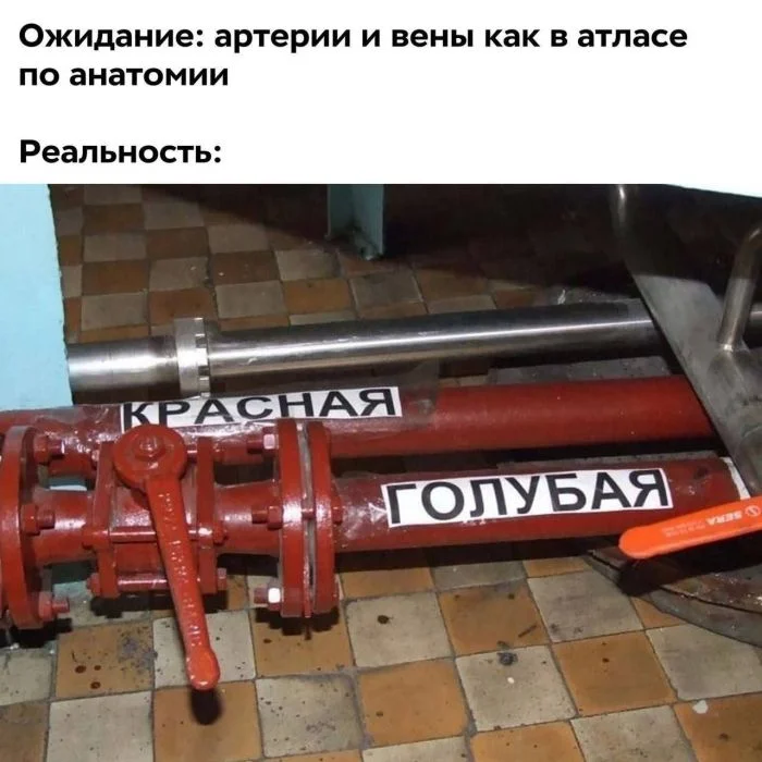 Пятничный заряд позитива: улыбаемся и машем!