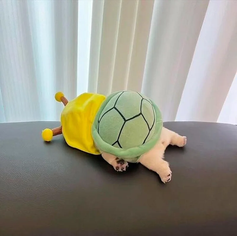 Очаровательные малыши: подборка самых милых фотографий детенышей животных