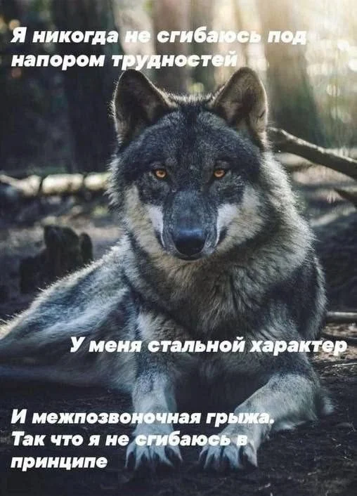 Случайный юмор: когда жизнь подкидывает смешные сюрпризы