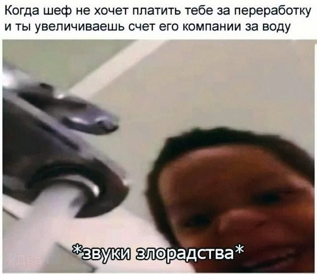 Юмор находит тебя первым: подборка для перезагрузки