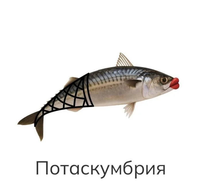 Пятничный заряд позитива: улыбаемся и машем!