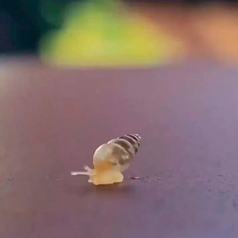 Очаровательные малыши: подборка самых милых фотографий детенышей животных