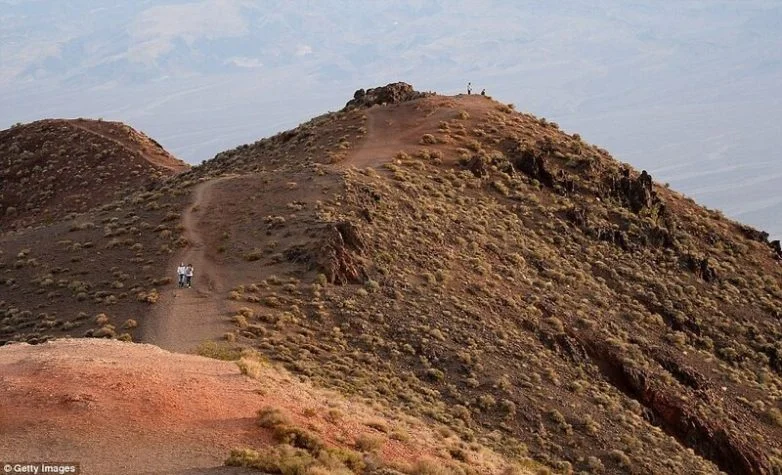 Долина Смерти расцвела: самый жаркий уголок Америки укрылся цветочным ковром