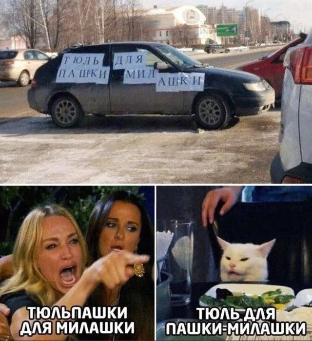 Случайный поток юмора: картинки, которые попали сюда просто так