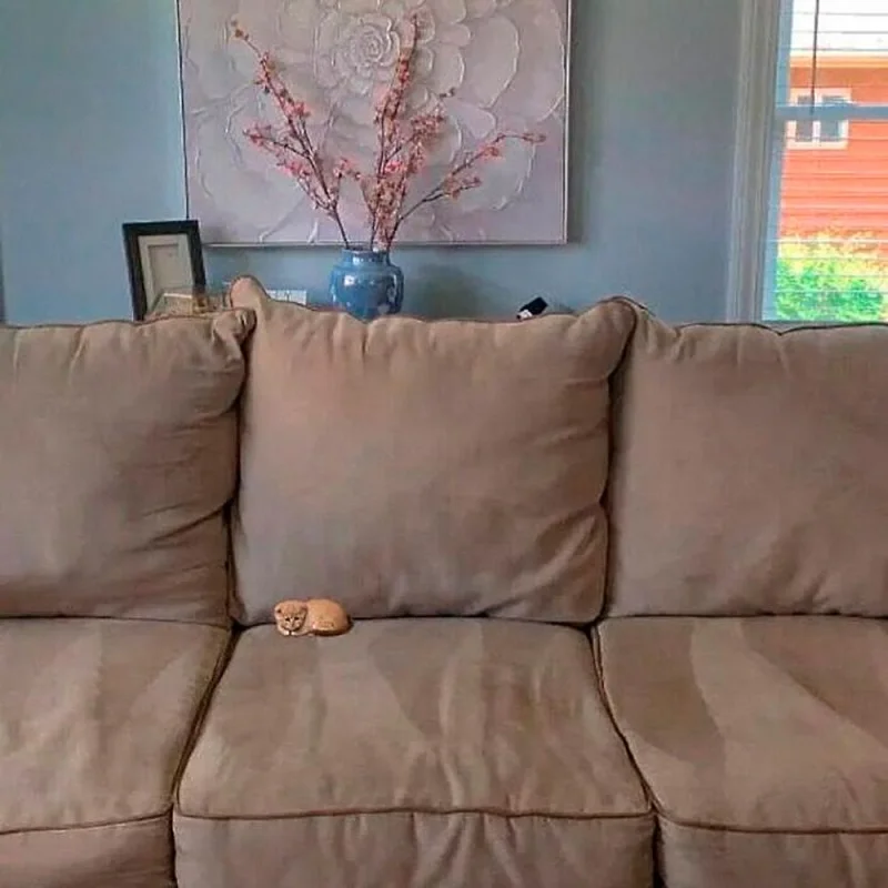 Очаровательные малыши: подборка самых милых фотографий детенышей животных