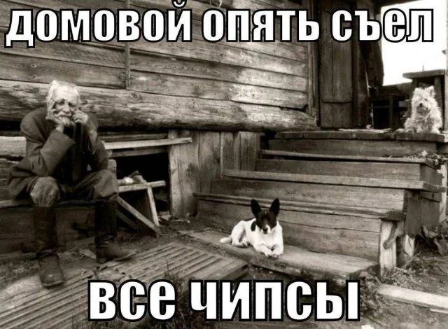 Пятничный заряд позитива: смешные картинки для отличного настроения