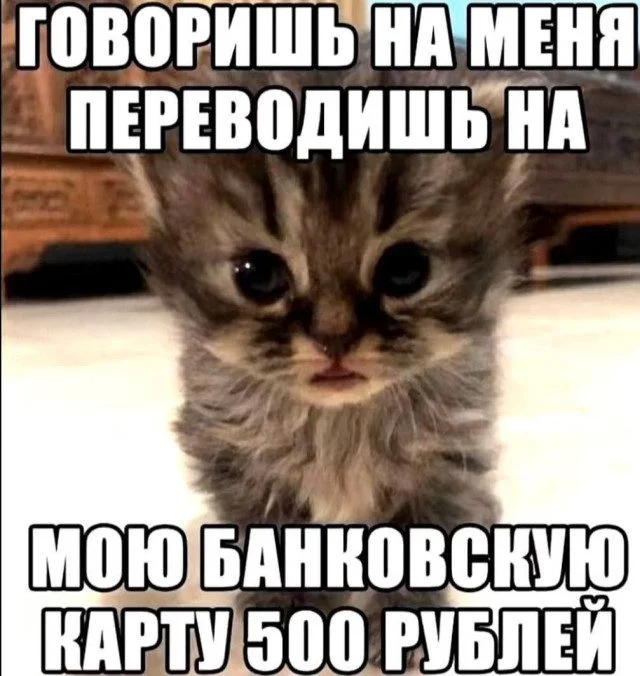 Случайный поток юмора: картинки, которые попали сюда просто так