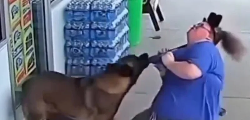 Кармическая расплата: женщина, которая считает себя собакой, подверглась нападению настоящей собаки