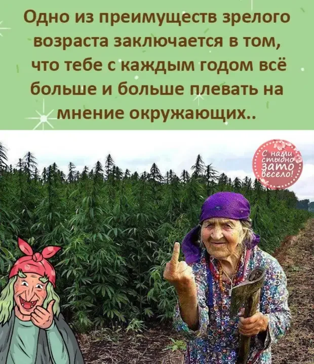 Свежая порция юмора: анекдоты и приколы на каждый день
