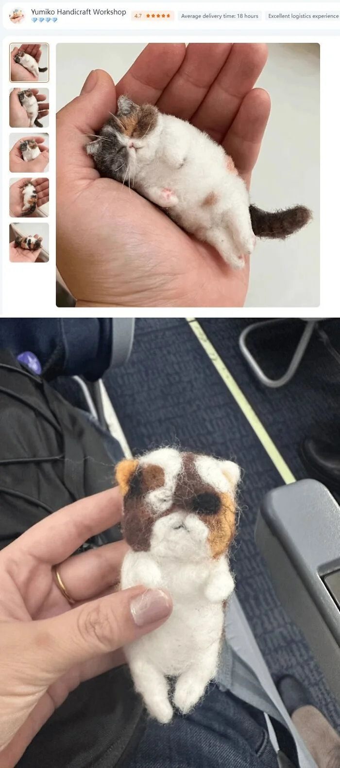 Когда заказал одно, а пришло совсем другое: 17 эпичных провалов онлайн-шопинга