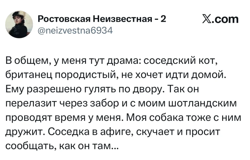 Лучшие шутки дня из X (бывшего Твиттера)