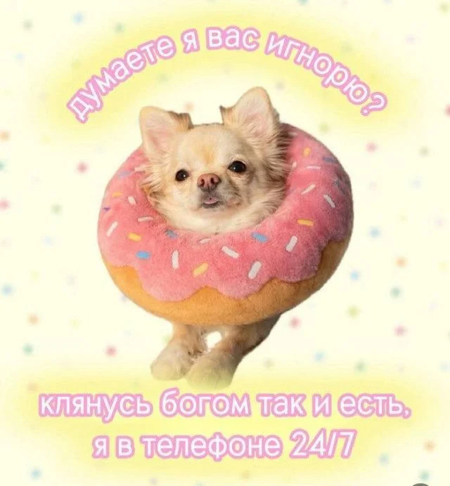 Коллекция случайного безумия: мемы без правил