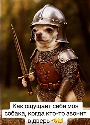 Коллекция свежего юмора: от политики до бытовых абсурдов