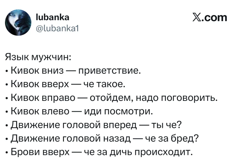 Лучшие шутки дня из X (бывшего Твиттера)