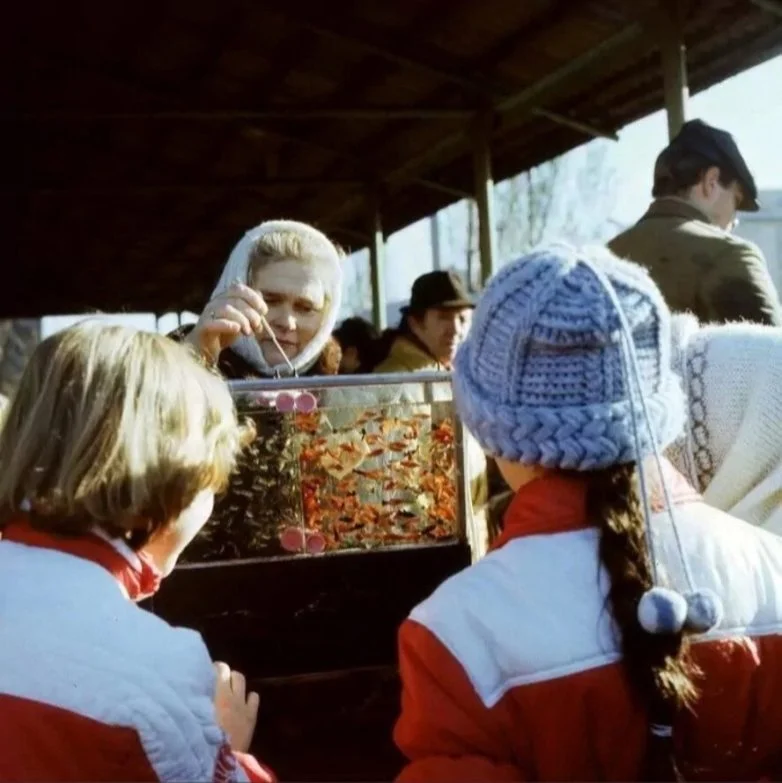 Снимки, которые помнят: душевная подборка фотографий и артефактов советской эпохи