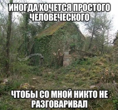 Коллекция случайного безумия: мемы без правил