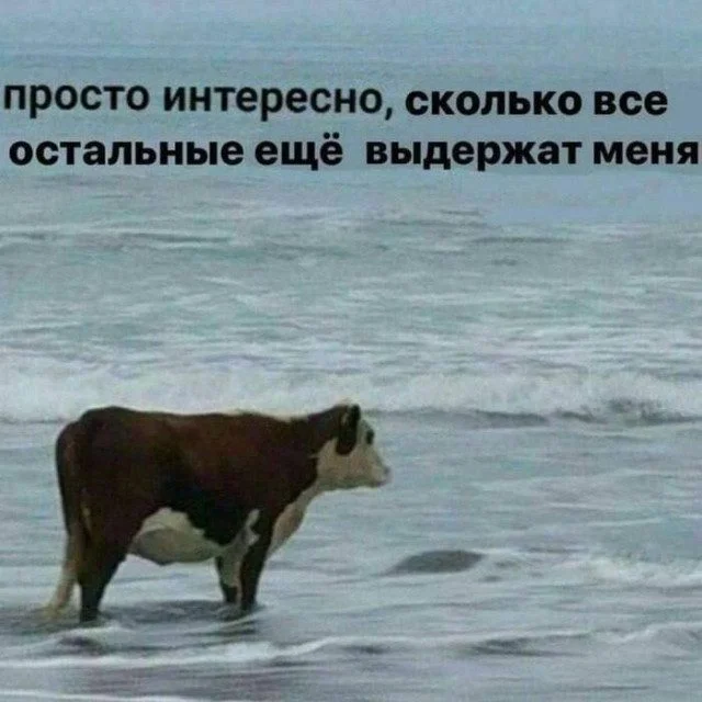 Когда хаос рождает красоту