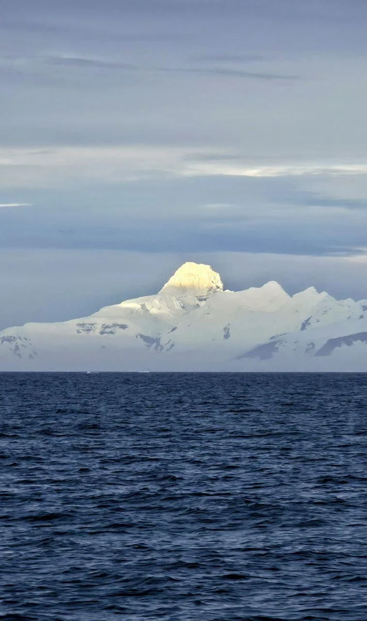 Федор Конюхов вернулся из Антарктиды, где подружился с пингвинами