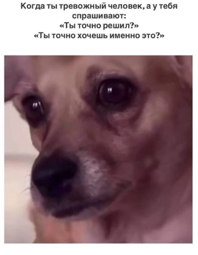 Когда хаос рождает красоту