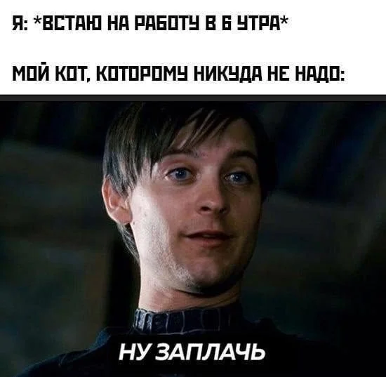 Случайные кадры веселья для вашего настроения