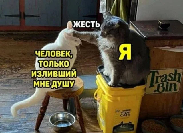 Случайные кадры веселья для вашего настроения