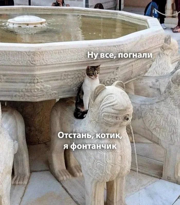 Зарядка позитивом: смешные мемы для ваших выходных