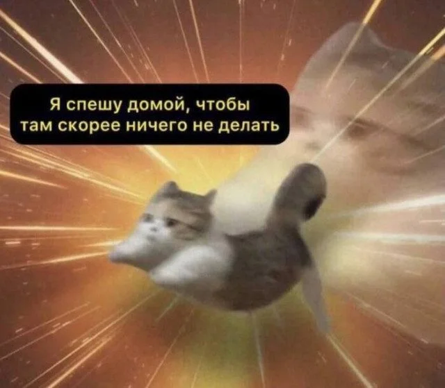 Случайные кадры веселья для вашего настроения