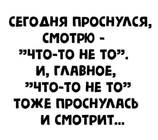 Забавные истории и анекдоты на разные случаи жизни