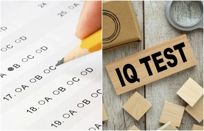 Тест на IQ: что на самом деле измеряет знаменитый показатель ума