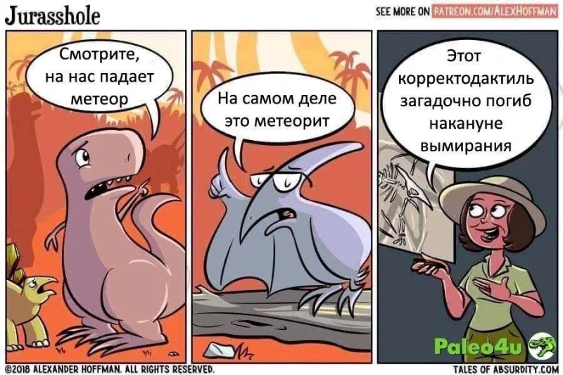 Самые смешные картинки недели: заряжаемся позитивом