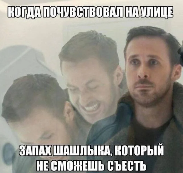 Случайные кадры веселья для вашего настроения