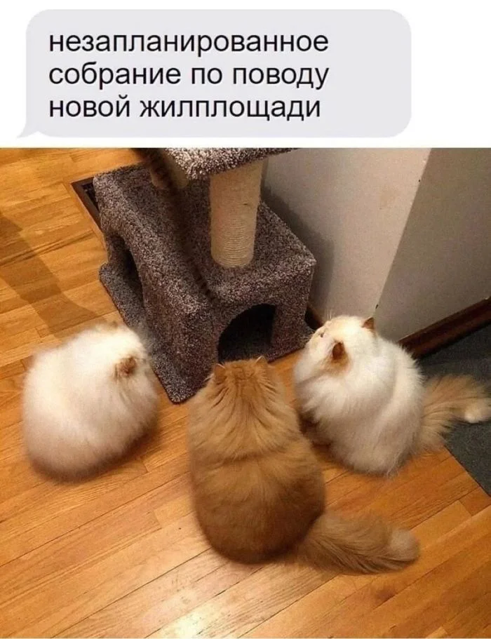 Горячая подборка черного юмора из соцсетей