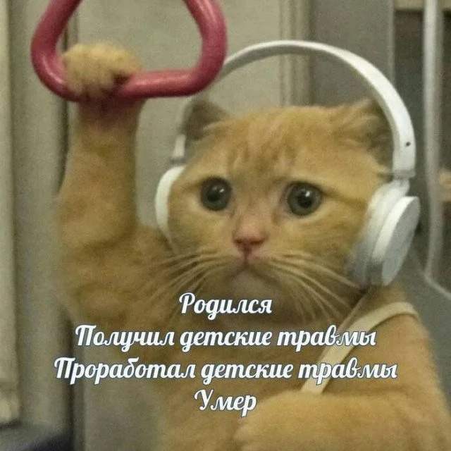 Случайные кадры веселья для вашего настроения