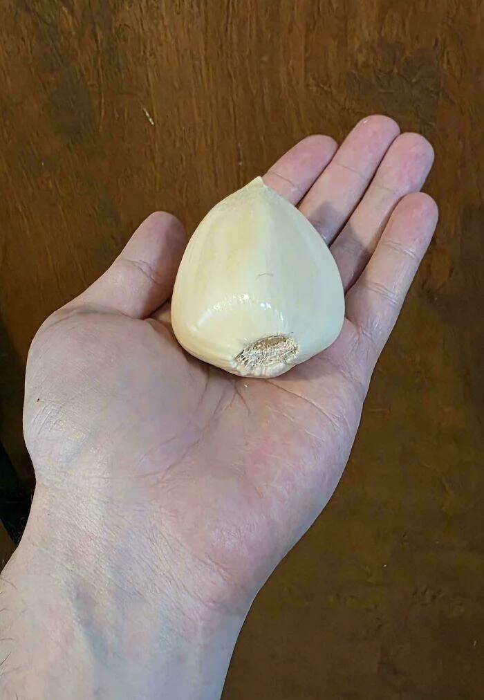 Когда размер поражает: 15 гигантских вещей, которые люди не смогли оставить без внимания