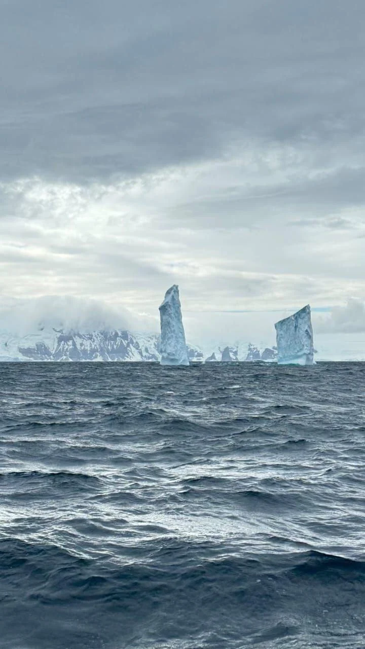 Федор Конюхов вернулся из Антарктиды, где подружился с пингвинами