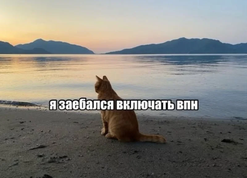 Зарядка позитивом: смешные мемы для ваших выходных