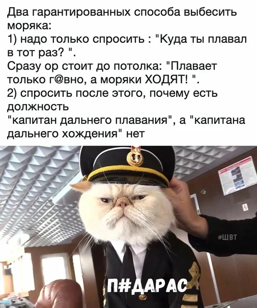 Зарядка позитивом: смешные мемы для ваших выходных