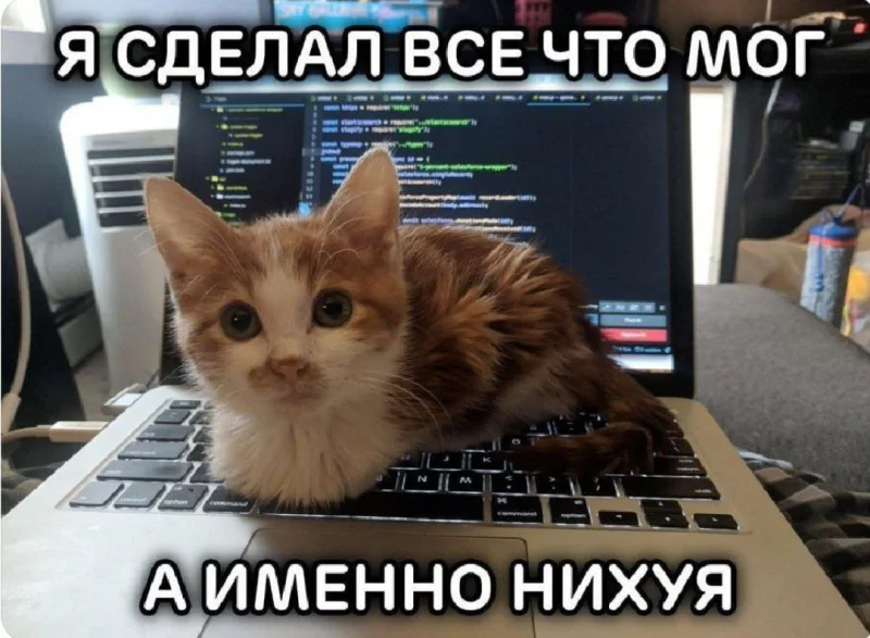 Зарядка позитивом: смешные мемы для ваших выходных