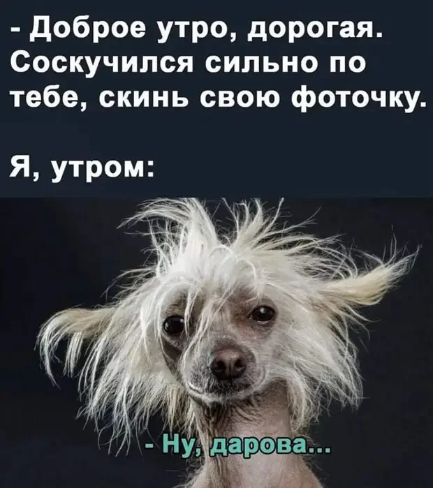 Ирония в картинках: как реклама и жизнь нас удивляют