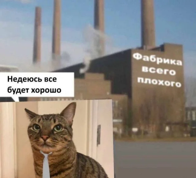 Случайные кадры веселья для вашего настроения